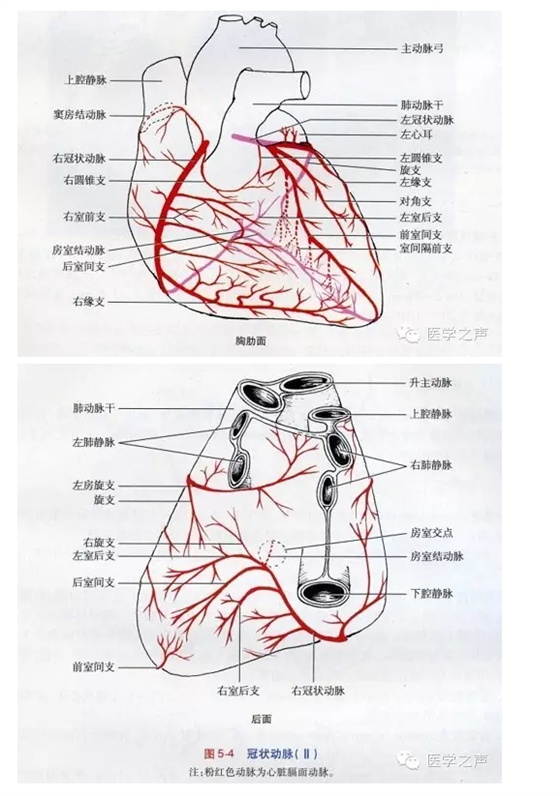 QQ图片20150725105048.png
