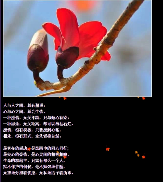 QQ图片20150730092617.png