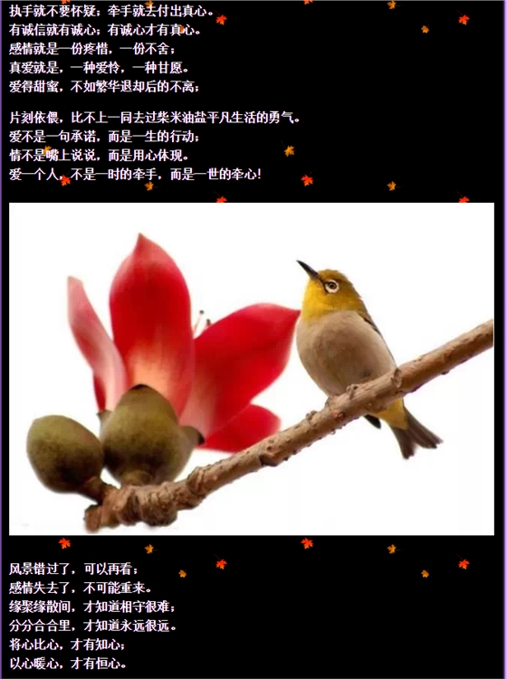QQ图片20150730092748.png