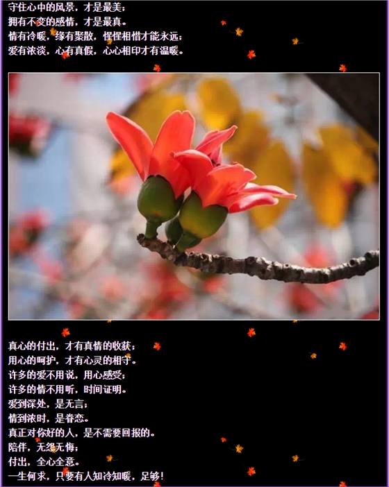 QQ图片20150730092809.png