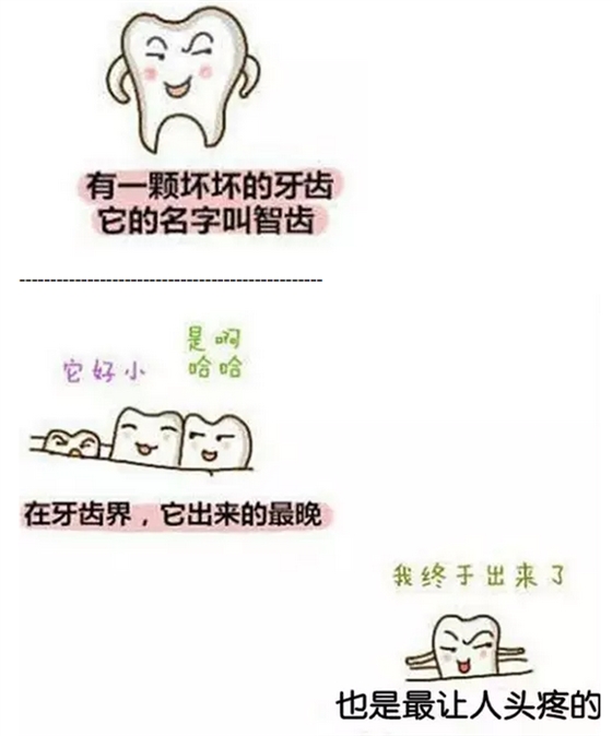 【口外科普】图解为什么大部分智齿需要拔除？