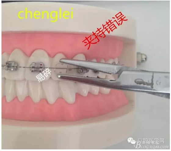 QQ图片20150808171404.png