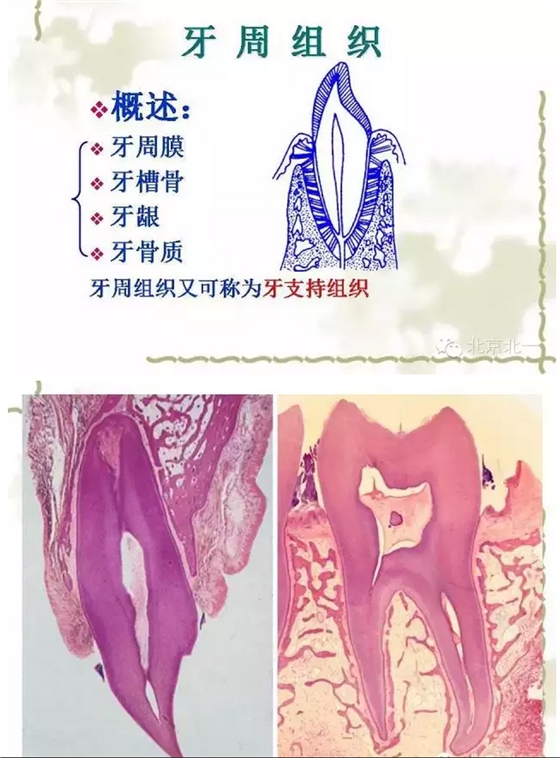 QQ图片20150814100954.png