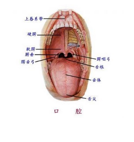 QQ图片20150814140434.png