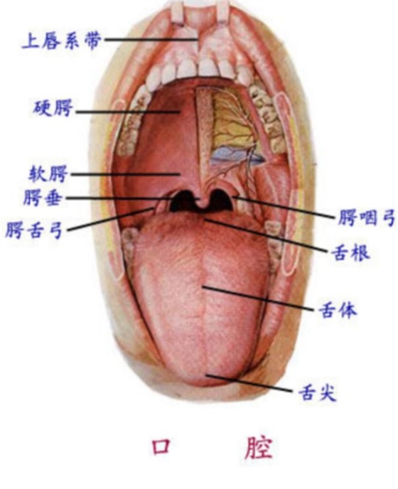 QQ图片20150814140504.png