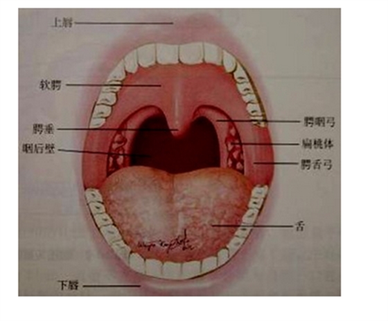 QQ图片20150814140631.png