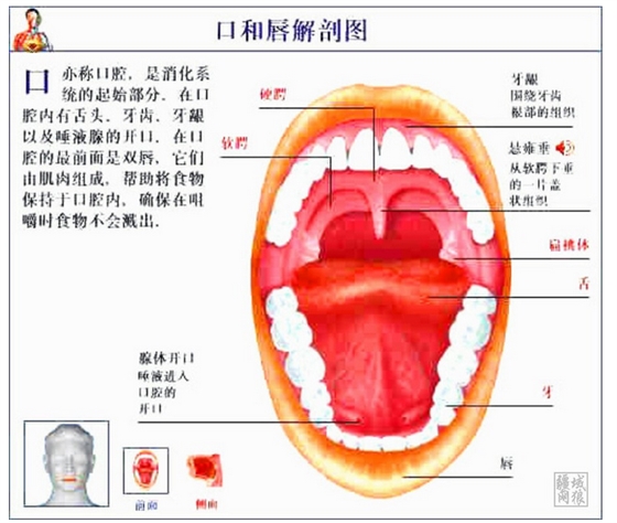QQ图片20150814140650.png