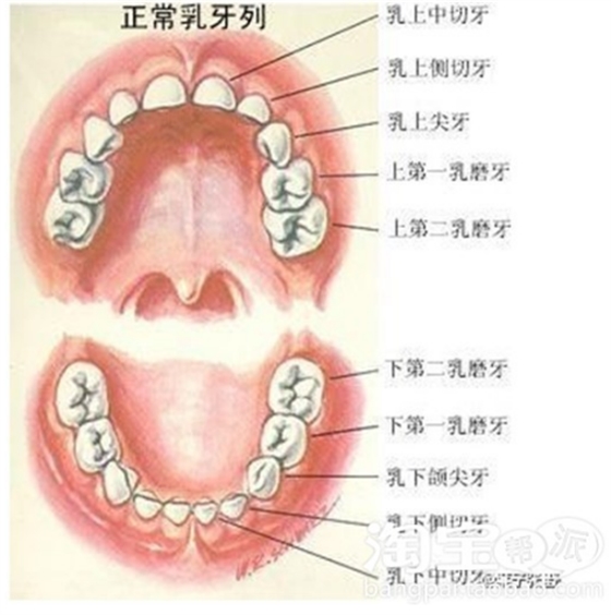 QQ图片20150814140842.png