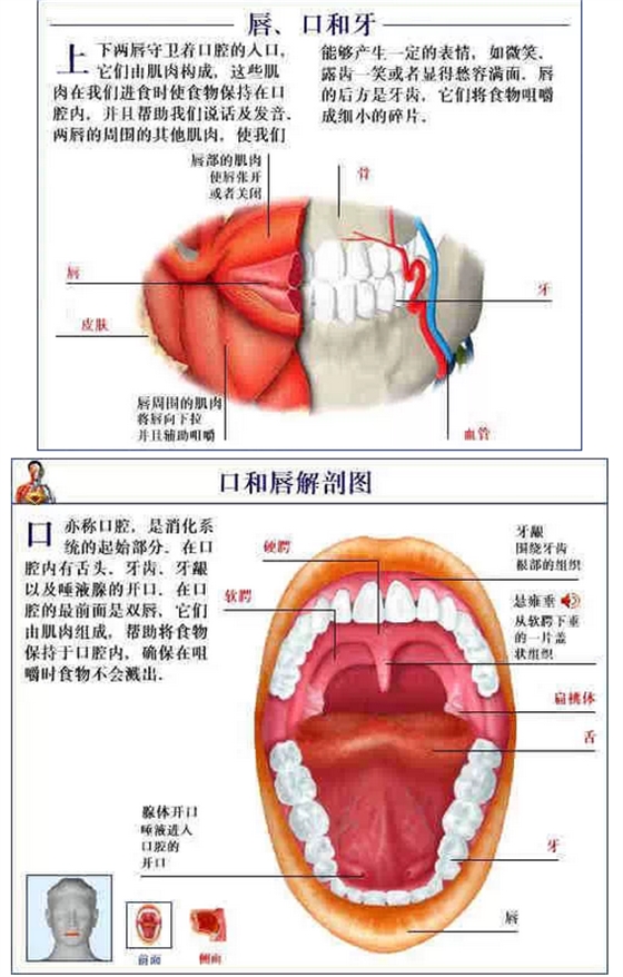 QQ图片20150815170735.png