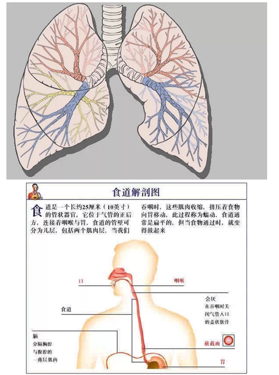 QQ图片20150815170833.png