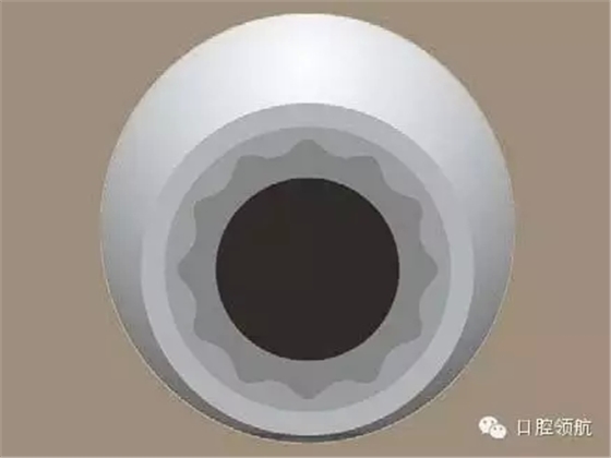 1.webp.jpg 1.webp.jpg