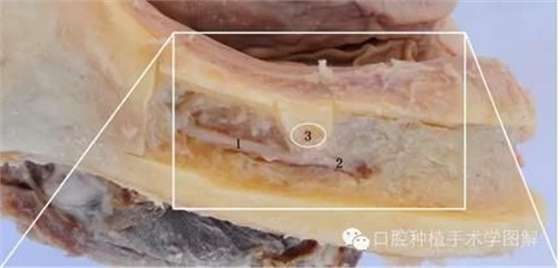 360截图20170422192801388.jpg