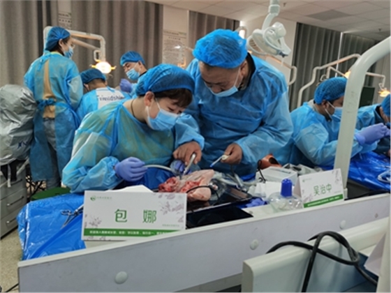 张东星老师兰州微创拔牙课牙医实操