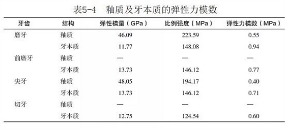 （第八十六期）牙体组织的基本力学性能