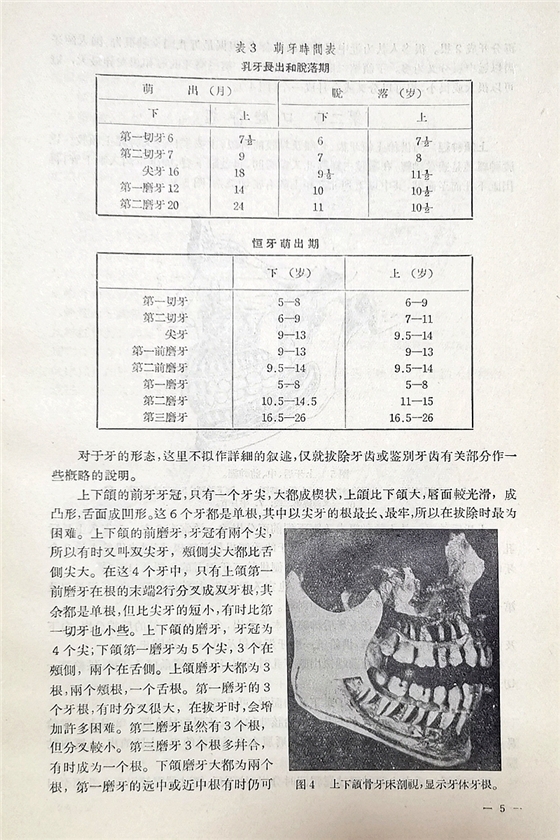 实用拔牙学——主编一级教授陈华