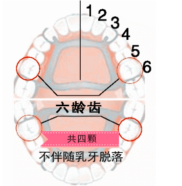 QQ图片20150718175102.png