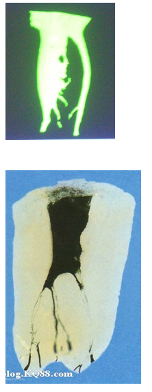 QQ图片20150720132850.png