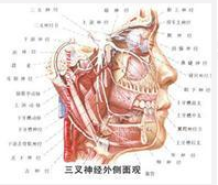QQ图片20150721135032.png