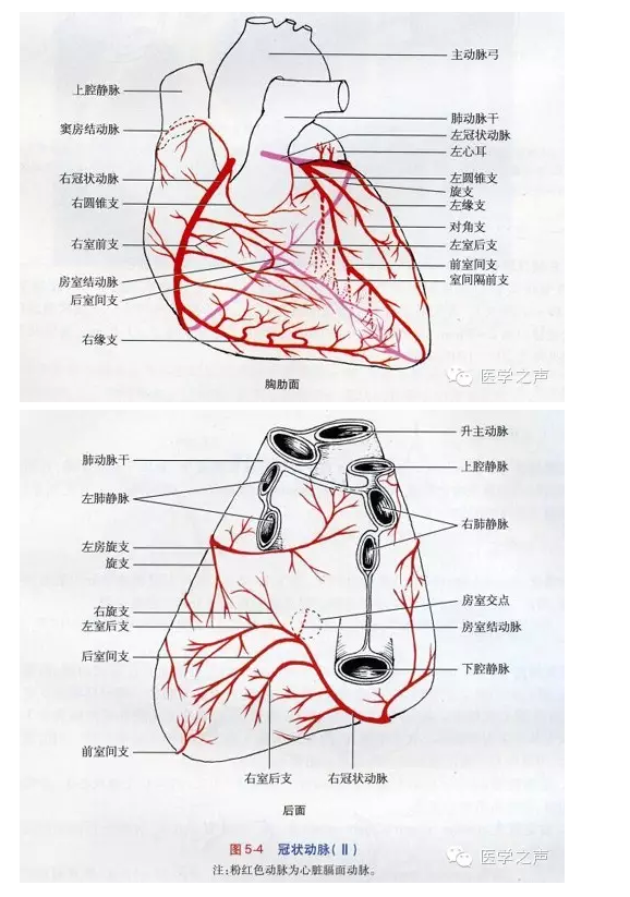 QQ图片20150725105048.png