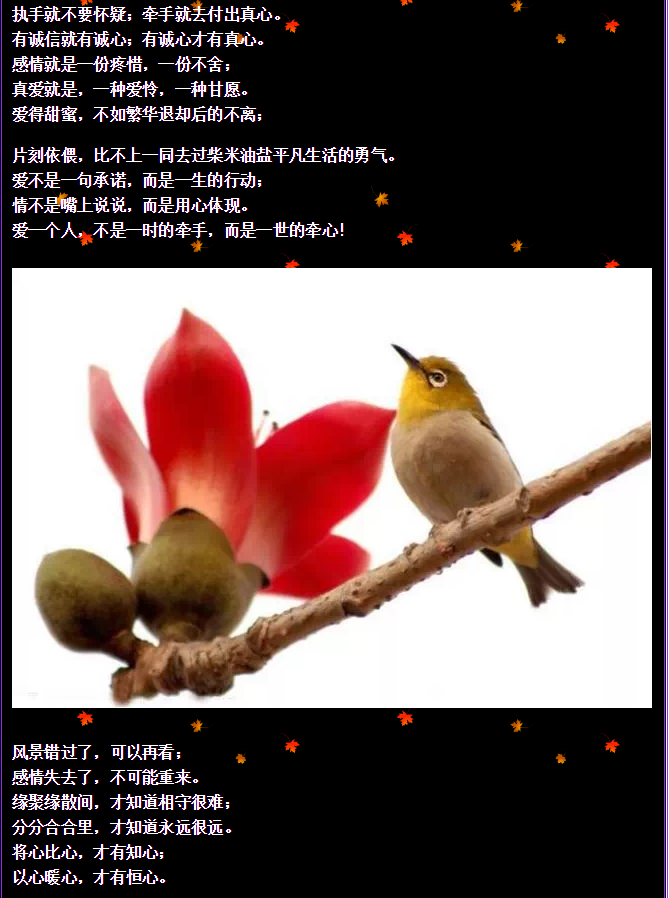 QQ图片20150730092748.png
