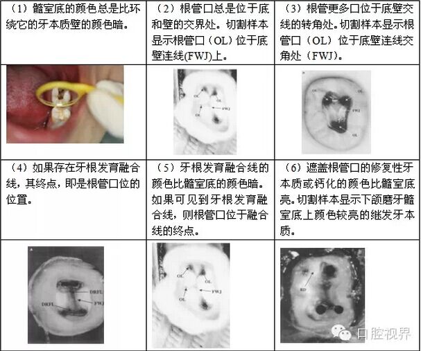 QQ图片20150803102952.jpg