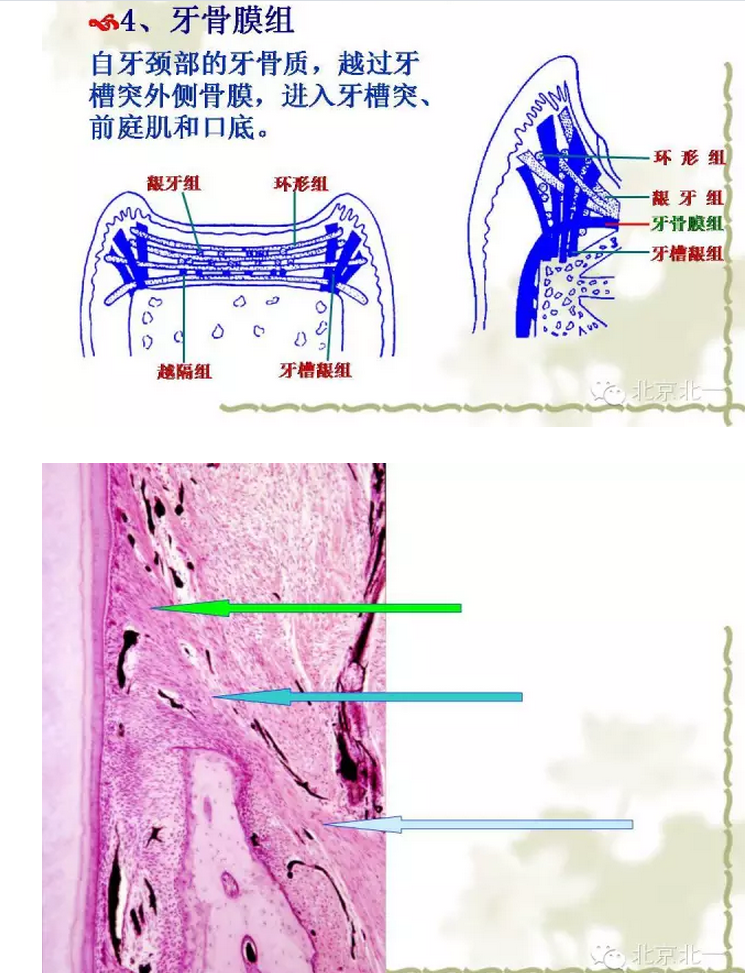 QQ图片20150814101354.png