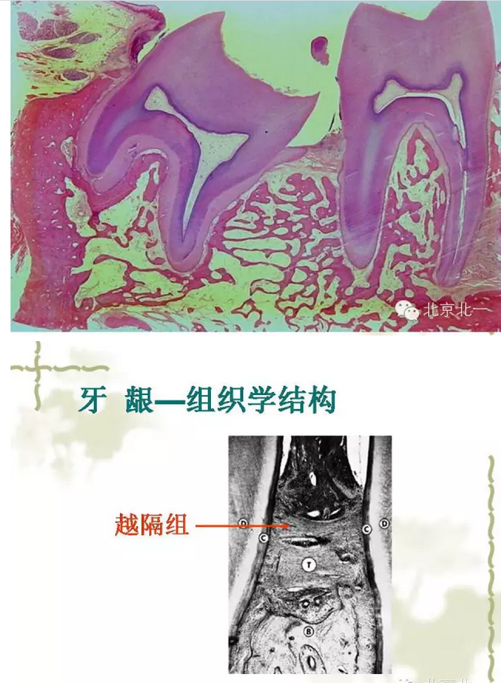 QQ图片20150814101434.png