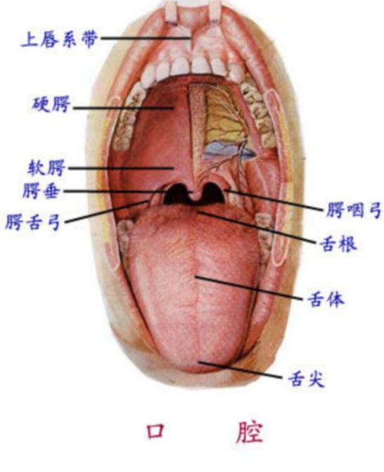 QQ图片20150814140504.png