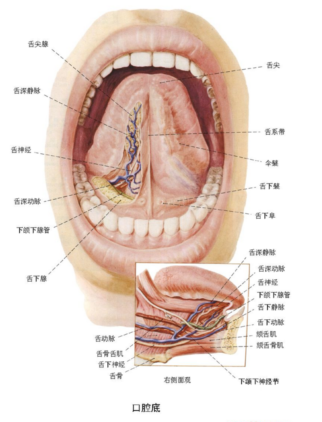 QQ图片20150814140613.png