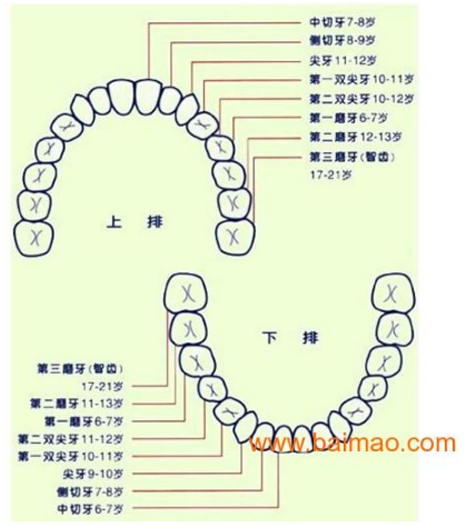 QQ图片20150814140809.png
