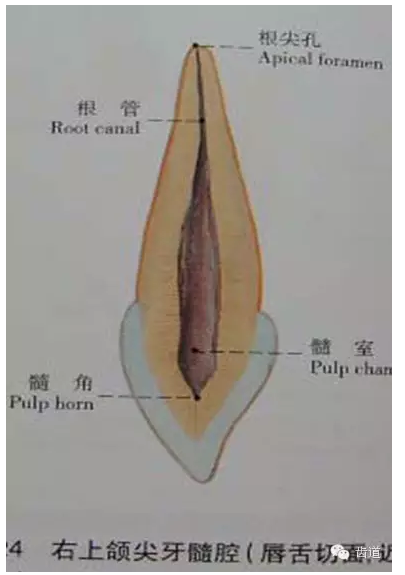 QQ图片20150820145426.png