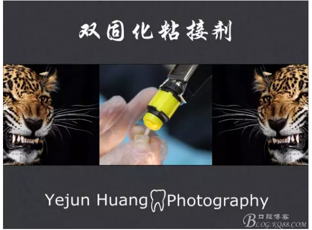 QQ图片20150824174651.png