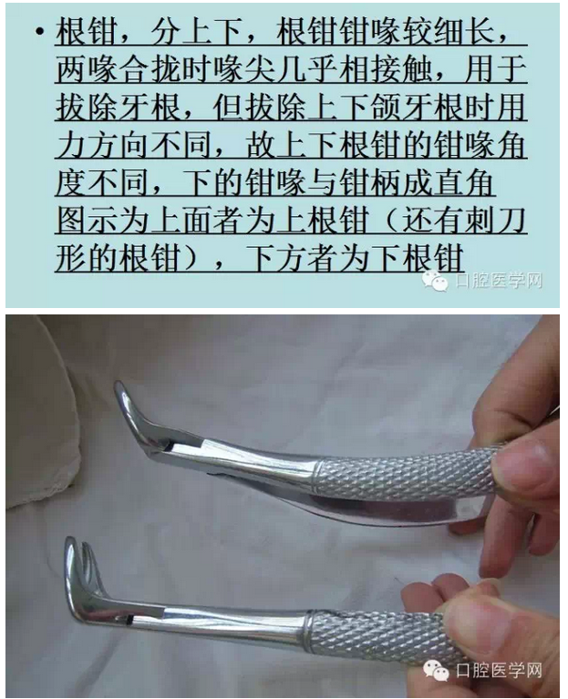 钳子、挺子、锤子......口外基础知识汇总