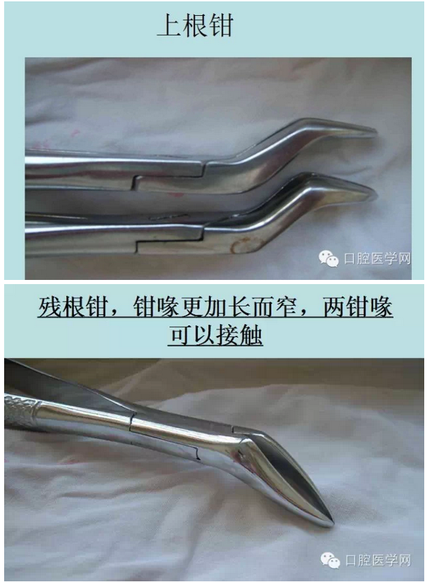 钳子、挺子、锤子......口外基础知识汇总
