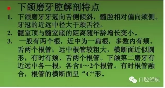 开髓术