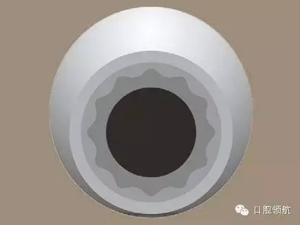 1.webp.jpg 1.webp.jpg