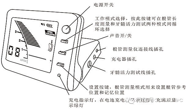 根管长度测量仪的使用