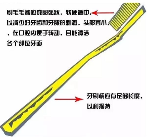 牙周病患者的外提升 梁光强