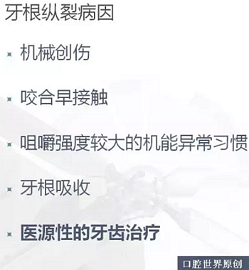 牙根纵裂