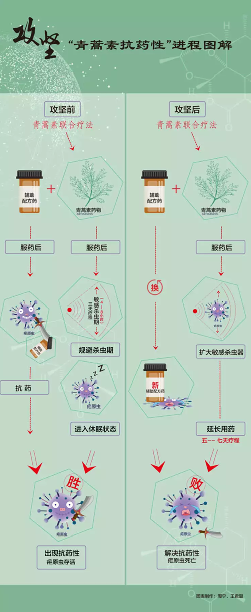 屠呦呦团队新突破！