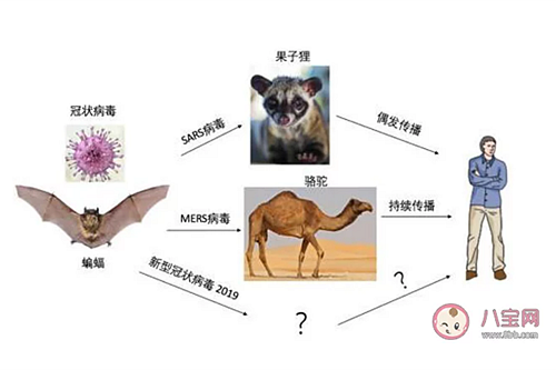 新型冠状病毒感染了一定会发热吗？新型冠状病毒前期的症状有哪些？