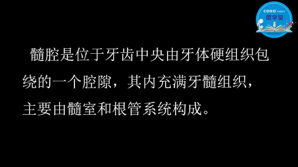 （第二十五期）微学堂回顾