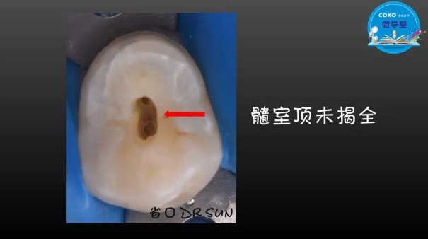 （第二十五期）微学堂回顾