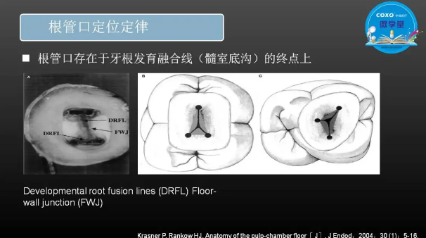 （第二十五期）微学堂回顾