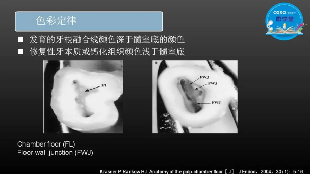 （第二十五期）微学堂回顾