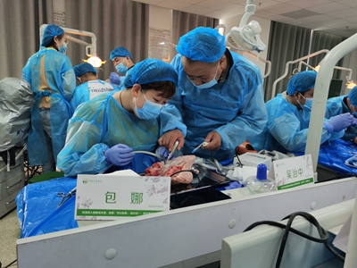 张东星老师兰州微创拔牙课牙医实操