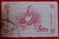 庆祝三八1953