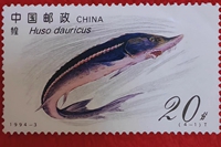 鳇