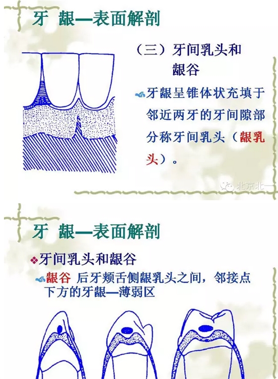 QQ图片20150814101107.png