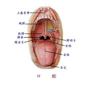 QQ图片20150814140434.png